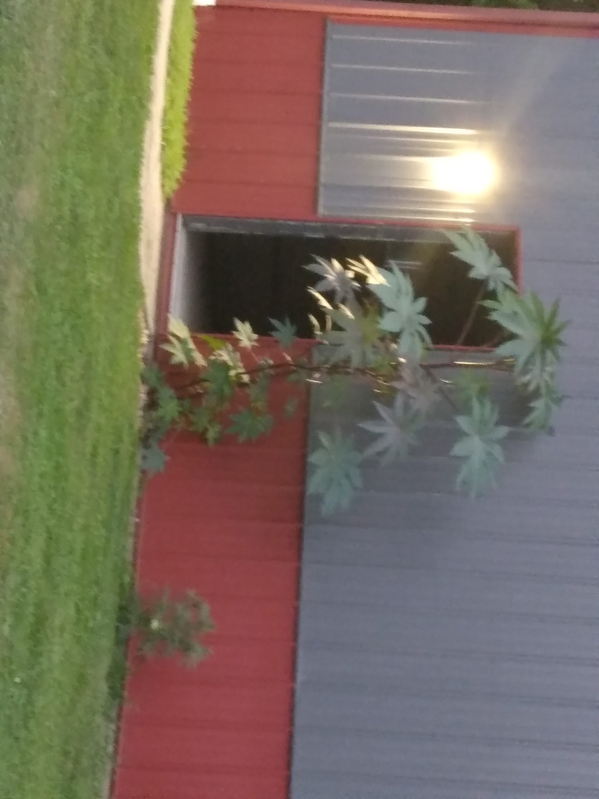 20210831_195945-scaled